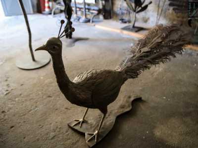 S� perch� le opere di Peppino possono definirsi vere e proprie sculture che l�uomo � riuscito anche a esporre in giro per l�Italia. Impossibile non notare ad esempio gli splendidi pavoni, uno con la coda chiusa...